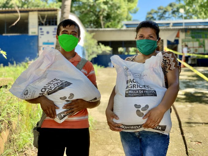 Gobierno beneficiará a más de 223,000 agricultores con la entrega de paquetes agrícolas gobierno-beneficiara-a-mas-de-223000-agricultores-con-la-entrega-de-paquetes-agricolas